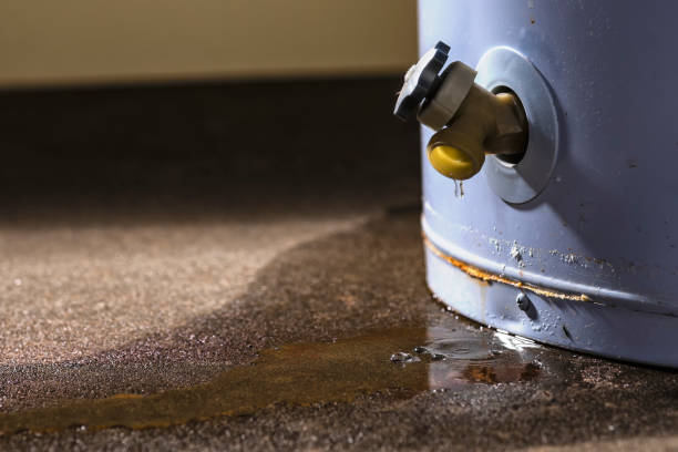Best Flooded house restoration  in Freeburg, IL