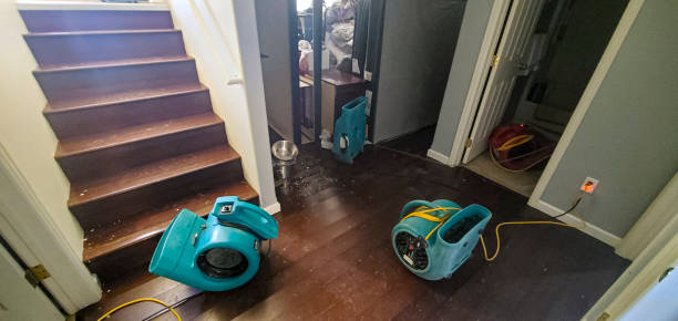 Best Residential water damage restoration  in Freeburg, IL