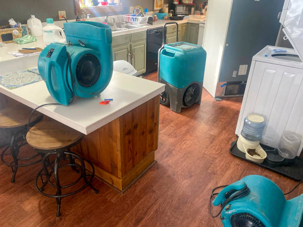Best Emergency water damage restoration  in Freeburg, IL