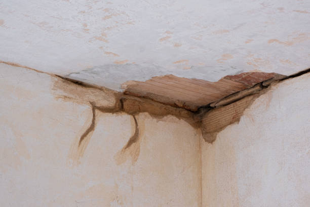 Best 24-hour water damage restoration  in Freeburg, IL
