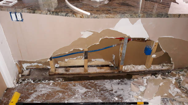 Best Fire Damage Restoration  in Freeburg, IL
