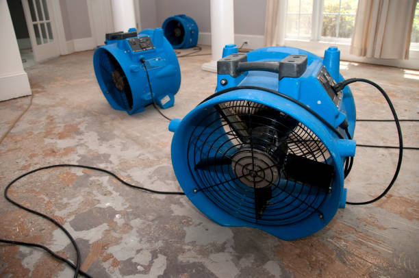  Freeburg, IL Water damage restoration Pros