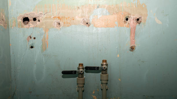 Best Commercial water damage restoration  in Freeburg, IL