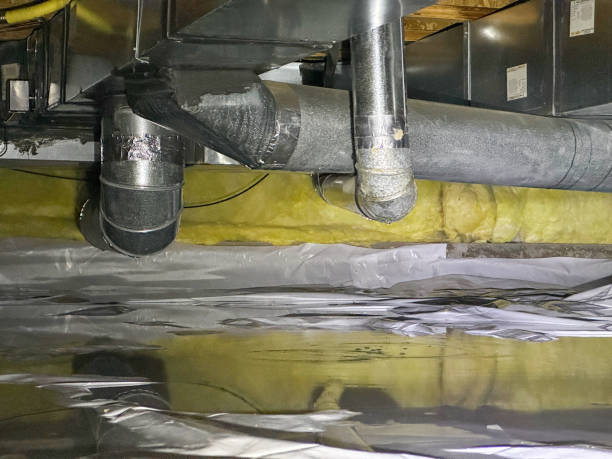 Best Ceiling water damage repair  in Freeburg, IL