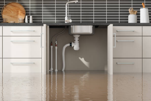 Best Flood damage cleanup  in Freeburg, IL