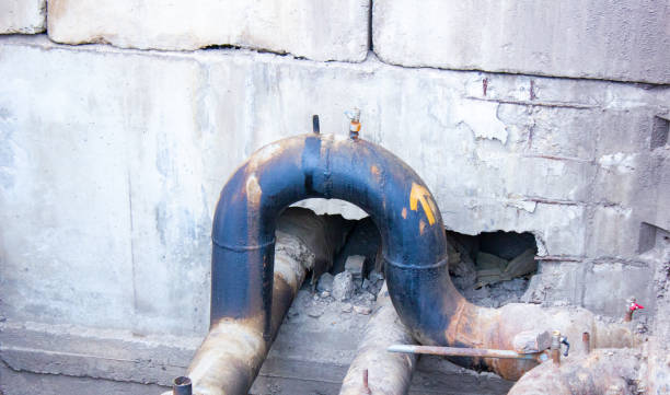 Best Local water damage restoration  in Freeburg, IL