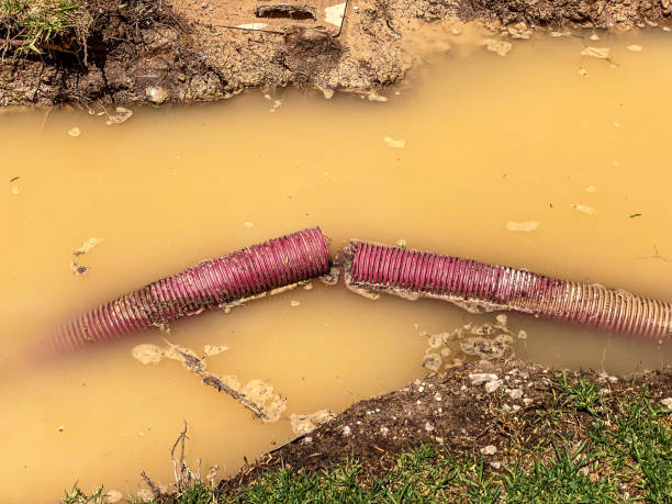 Best 24/7 water damage repair  in Freeburg, IL