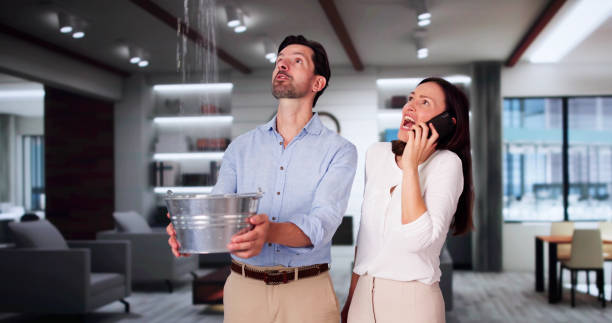 Best Water damage restoration near me  in Freeburg, IL